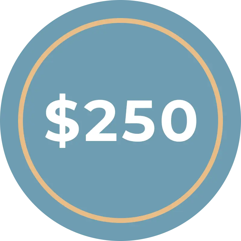 $250